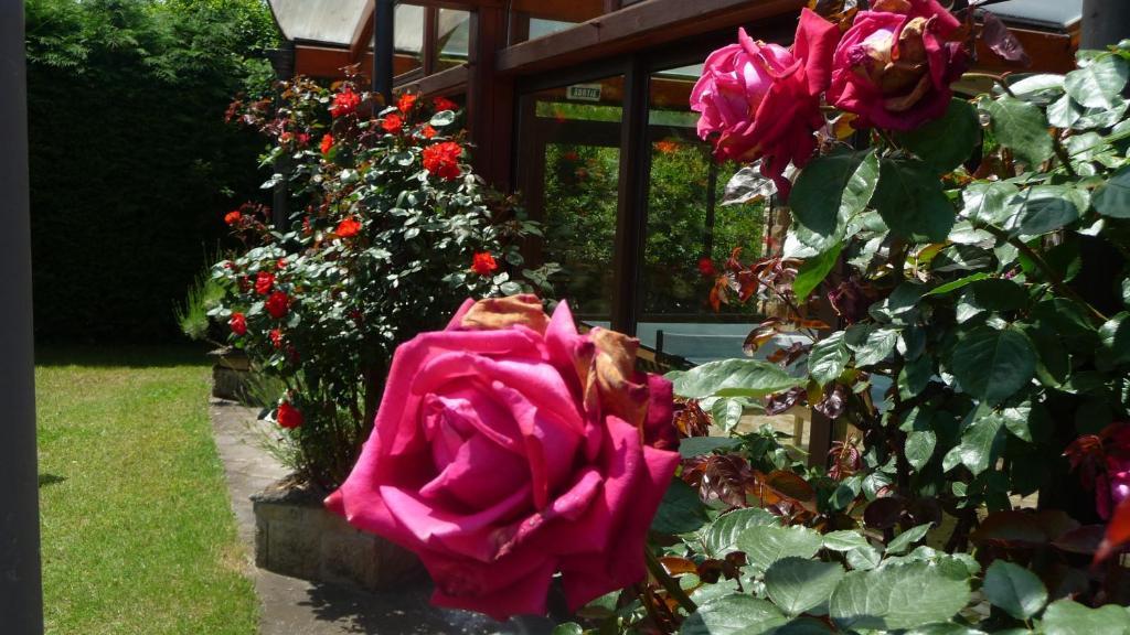 Logis La Rose Des Vents Hotel Volvic Bagian luar foto